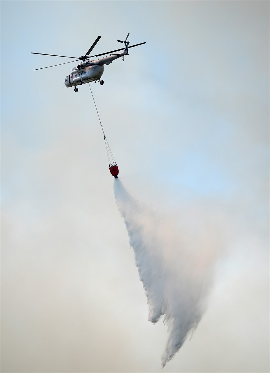 İzmir'in Urla ilçesinde çıkan orman yangınına havadan ve karadan müdahale ediliyor. 