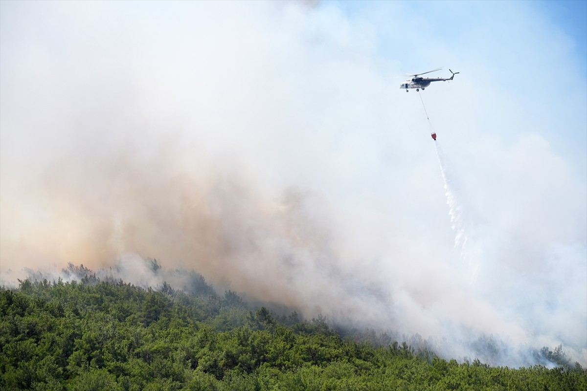 İzmir'in Urla ilçesinde çıkan orman yangınına havadan ve karadan müdahale ediliyor. 