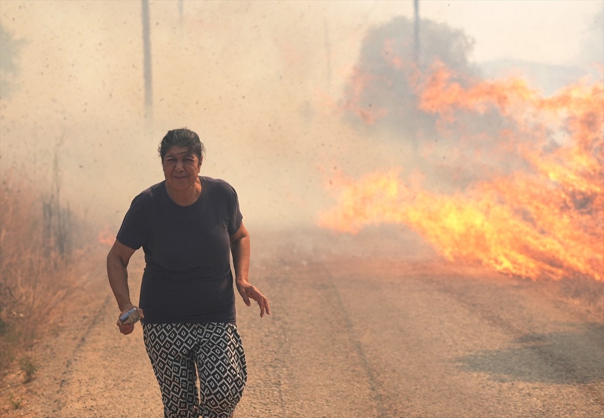 İzmir'in Urla ilçesinin Çeşmealtı Mahallesi'ndeki yerleşim yerlerine yakın ormanlık alanda, henüz...