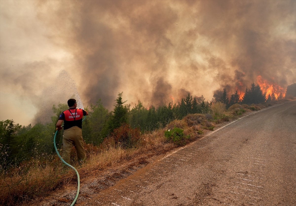 İzmir'in Urla ilçesinin Çeşmealtı Mahallesi'ndeki yerleşim yerlerine yakın ormanlık alanda, henüz...