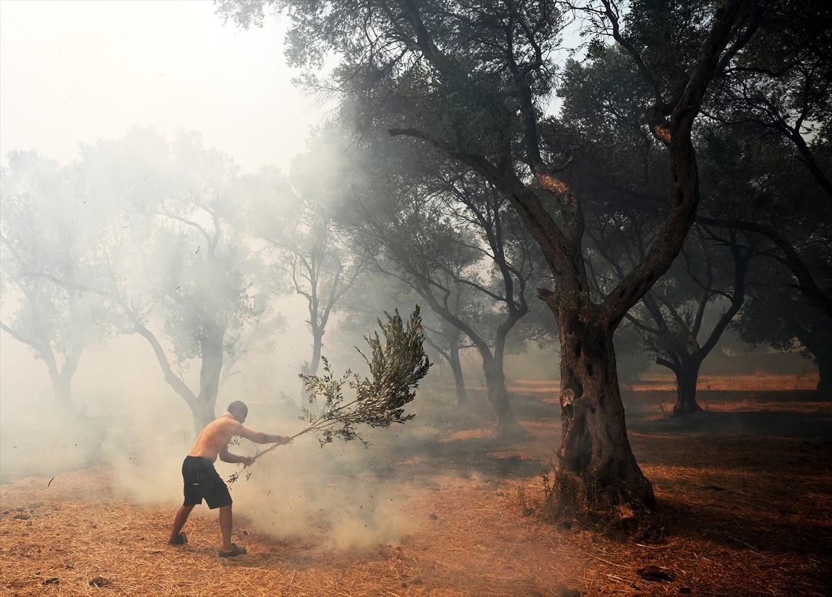 İzmir'in Urla ilçesinin Çeşmealtı Mahallesi'ndeki yerleşim yerlerine yakın ormanlık alanda, henüz...
