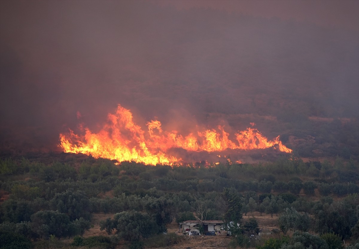 İzmir'in Urla ilçesinin Çeşmealtı Mahallesi'ndeki yerleşim yerlerine yakın ormanlık alanda, henüz...