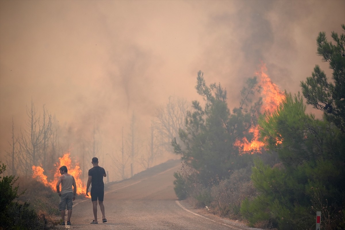 İzmir'in Urla ilçesinin Çeşmealtı Mahallesi'ndeki yerleşim yerlerine yakın ormanlık alanda, henüz...