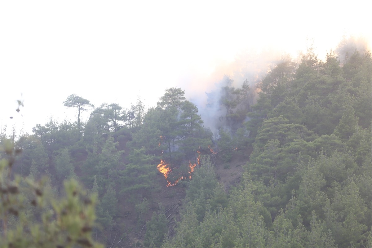 Kahramanmaraş'ın Onikişubat ilçesinde çıkan orman yangınına ekiplerce havadan ve karadan müdahale...