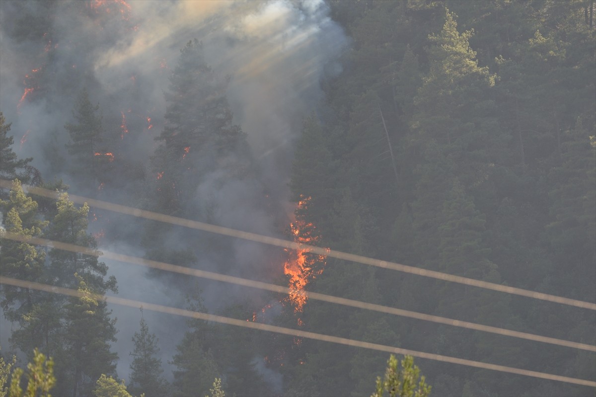 Kahramanmaraş'ın Onikişubat ilçesinde çıkan orman yangınına havadan ve karadan müdahale...