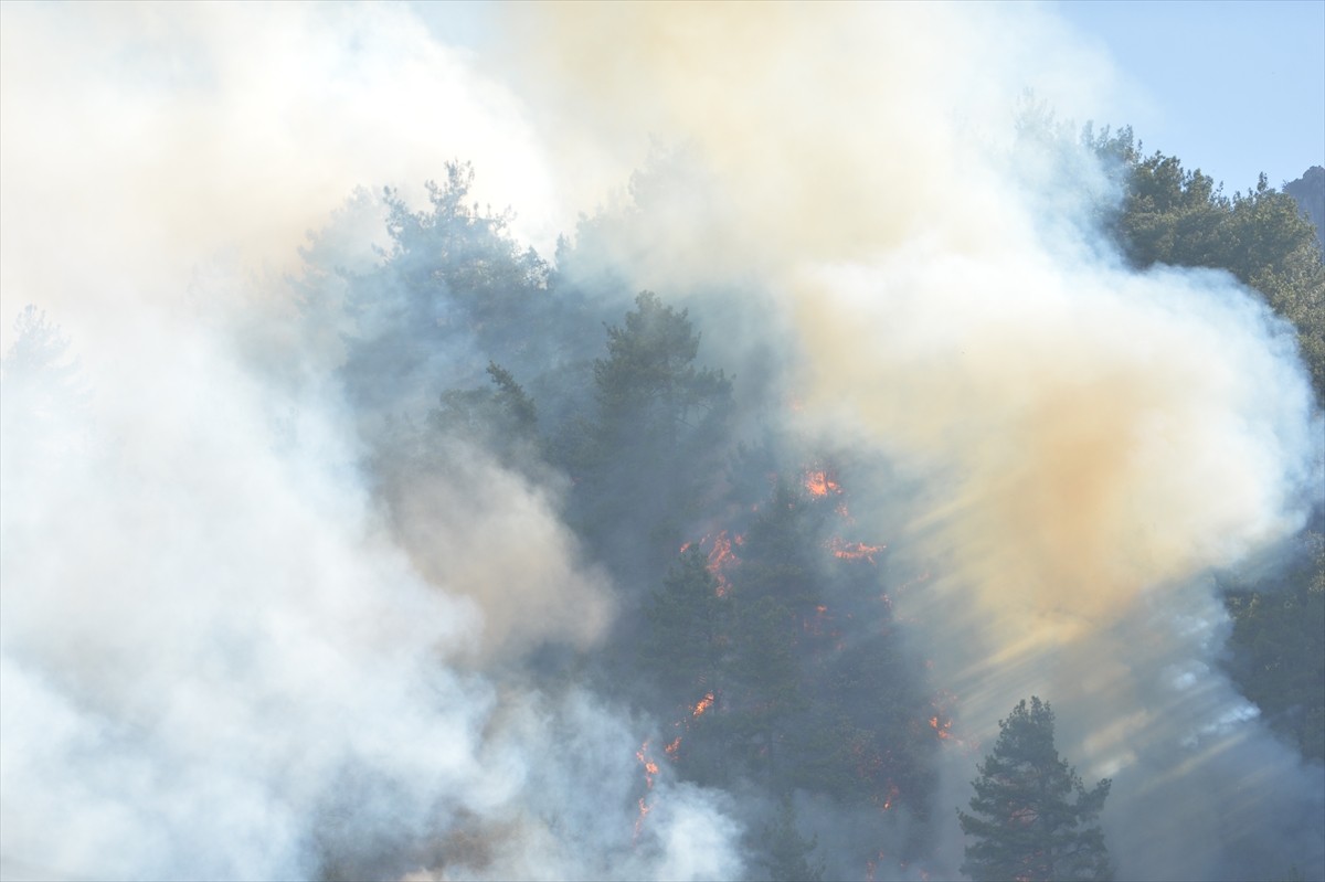 Kahramanmaraş'ın Onikişubat ilçesinde çıkan orman yangınına havadan ve karadan müdahale...