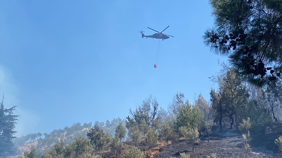 Kahramanmaraş'ın Onikişubat ilçesinde, henüz belirlenemeyen nedenle çıkan orman yangınına Orman...