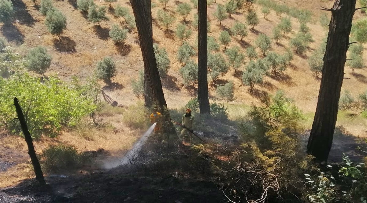 Kahramanmaraş'ın Onikişubat ilçesinde, henüz belirlenemeyen nedenle çıkan orman yangınına Orman...