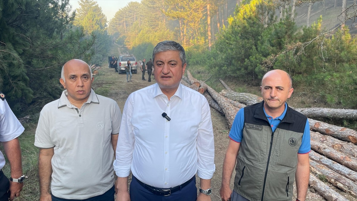 Karabük'te çıkan orman yangınını söndürme çalışmaları havadan ve karadan sürüyor. Yaklaşık 12...