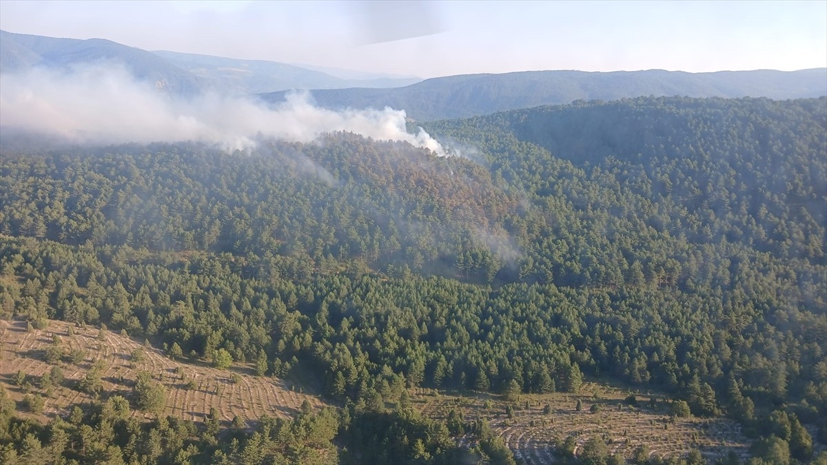 Karabük'te merkez ilçeye bağlı Kale ve Zopran köyleri mevkisindeki ormanlık alanda henüz...