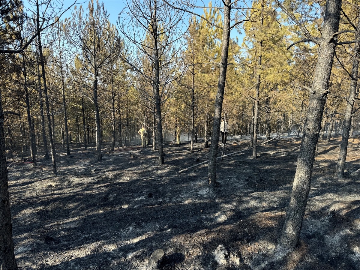 Kastamonu'da kontrol altına alınan orman yangınında, soğutma çalışmaları sürüyor.