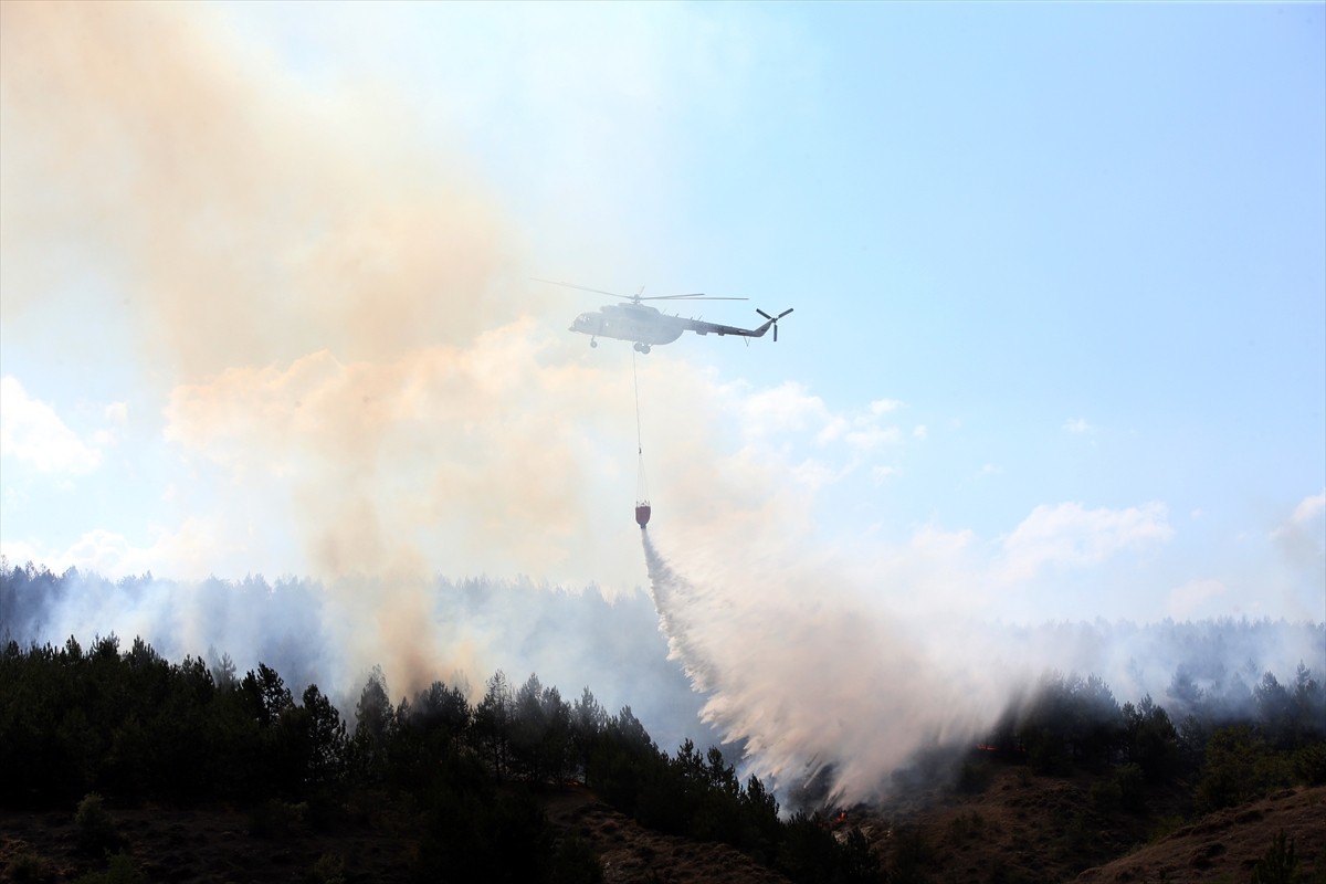 Kastamonu'da ormanlık alanda çıkan yangına ekipler karadan ve havadan müdahale etti.