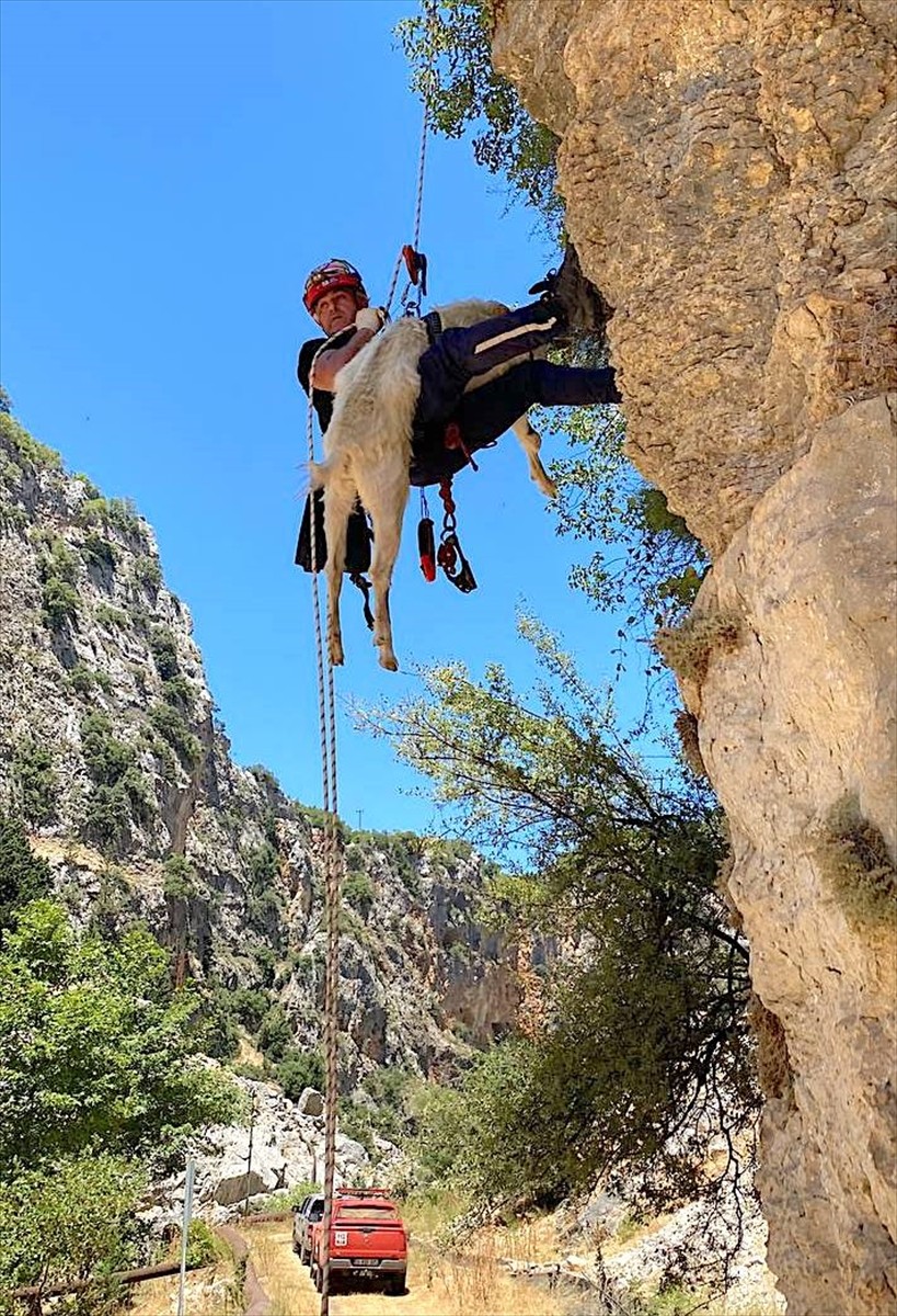 Mersin'in Erdemli ilçesinde, uçurumda mahsur kalan keçi, itfaiye ekiplerince kurtarılıp sahibine...