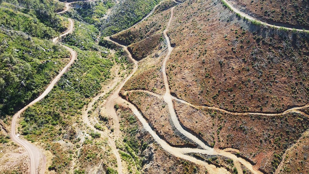 Muğla'da meydana gelen yangınlarda zarar gören ormanlık alanlar, ekiplerin yoğun çalışmasıyla...