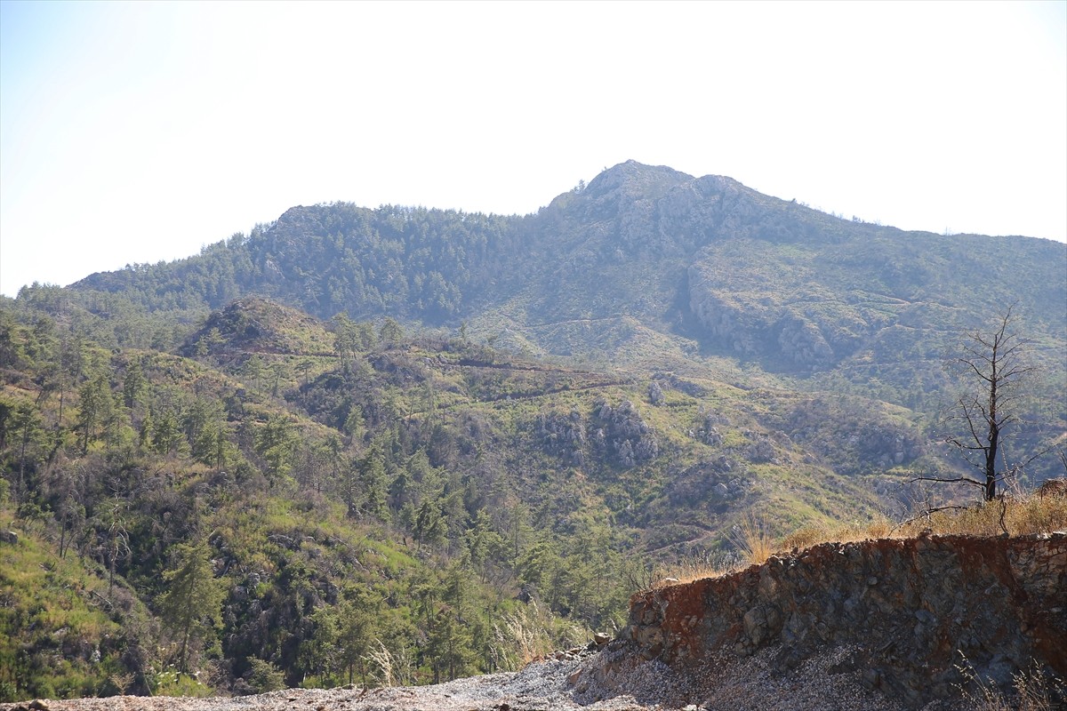 Muğla'da meydana gelen yangınlarda zarar gören ormanlık alanlar, ekiplerin yoğun çalışmasıyla...