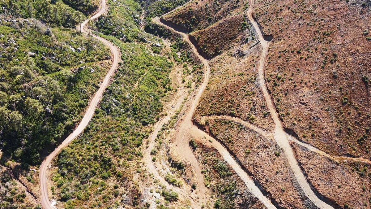 Muğla'da meydana gelen yangınlarda zarar gören ormanlık alanlar, ekiplerin yoğun çalışmasıyla...