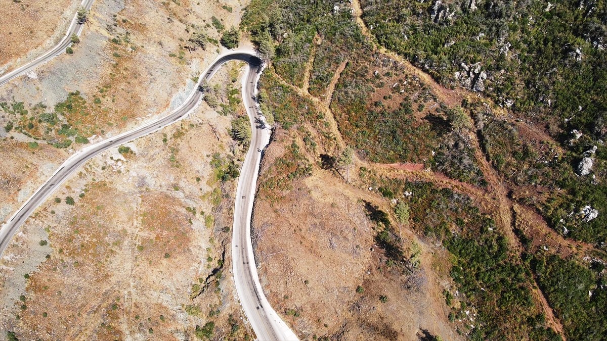 Muğla'da meydana gelen yangınlarda zarar gören ormanlık alanlar, ekiplerin yoğun çalışmasıyla...
