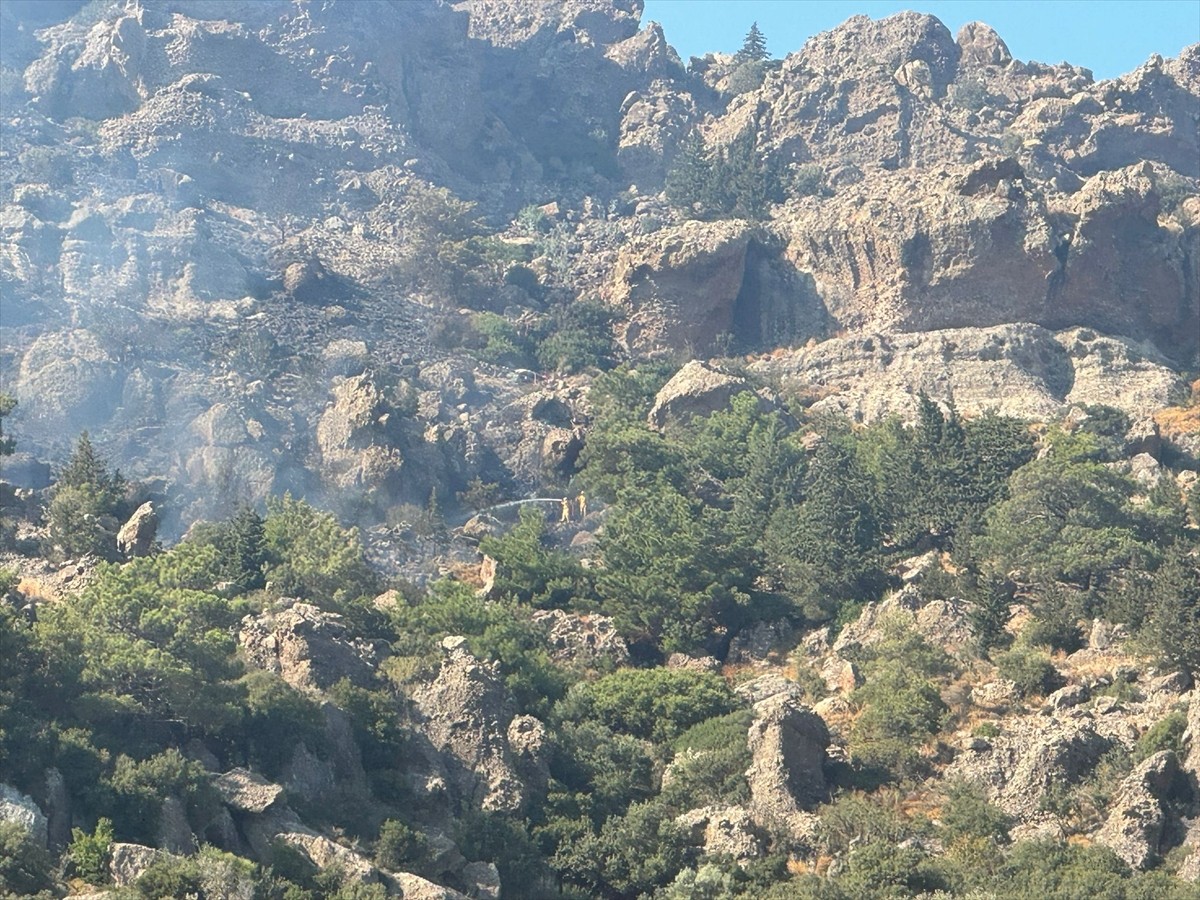 Muğla'nın Bodrum ilçesinde makilik ve otluk alanda çıkan yangın havadan ve karadan yapılan...