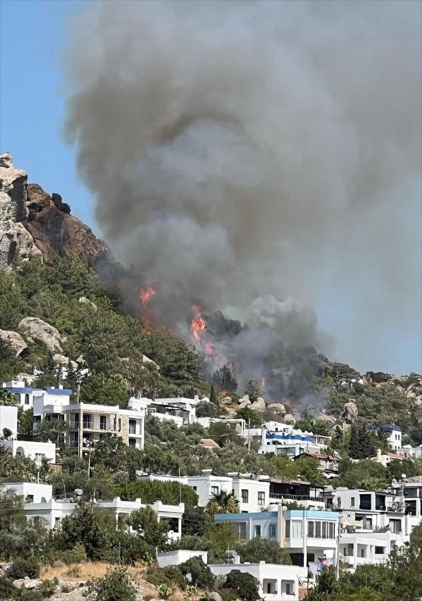 Muğla'nın Bodrum ilçesinde makilik ve otluk alanda çıkan yangına havadan ve karadan müdahale...