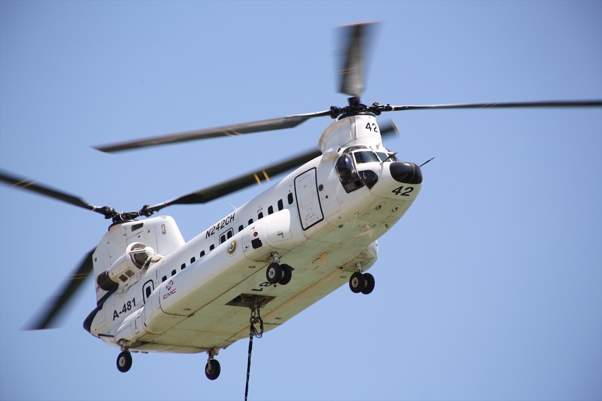 Muğla'nın Milas ilçesinde ormanlık alanda çıkan ikinci yangında yaklaşık 1 hektar alan zarar...