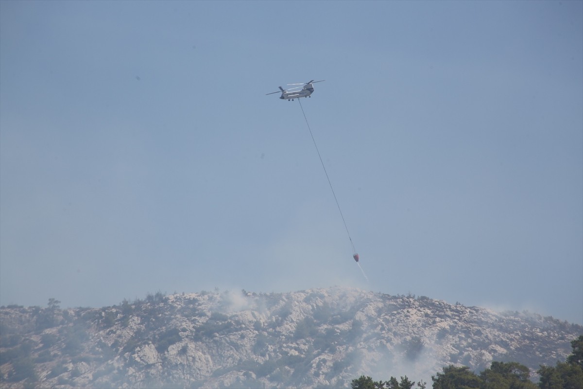 Muğla'nın Milas ilçesinde ormanlık alanda çıkan ikinci yangında yaklaşık 1 hektar alan zarar...