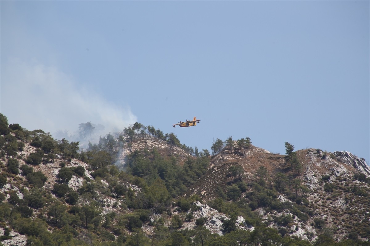 Muğla'nın Milas ilçesinde ormanlık alanda çıkan ikinci yangında yaklaşık 1 hektar alan zarar...