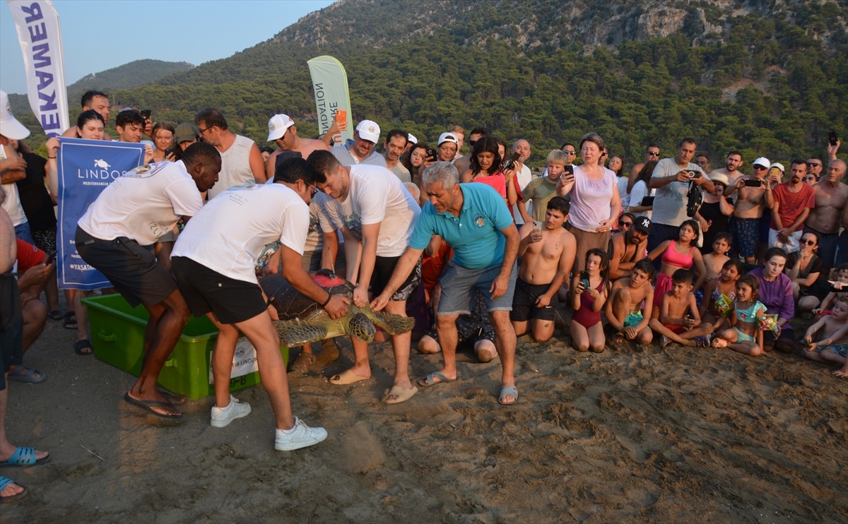 Muğla'nın Ortaca ilçesindeki Deniz Kaplumbağaları Araştırma, Kurtarma ve Rehabilitasyon...