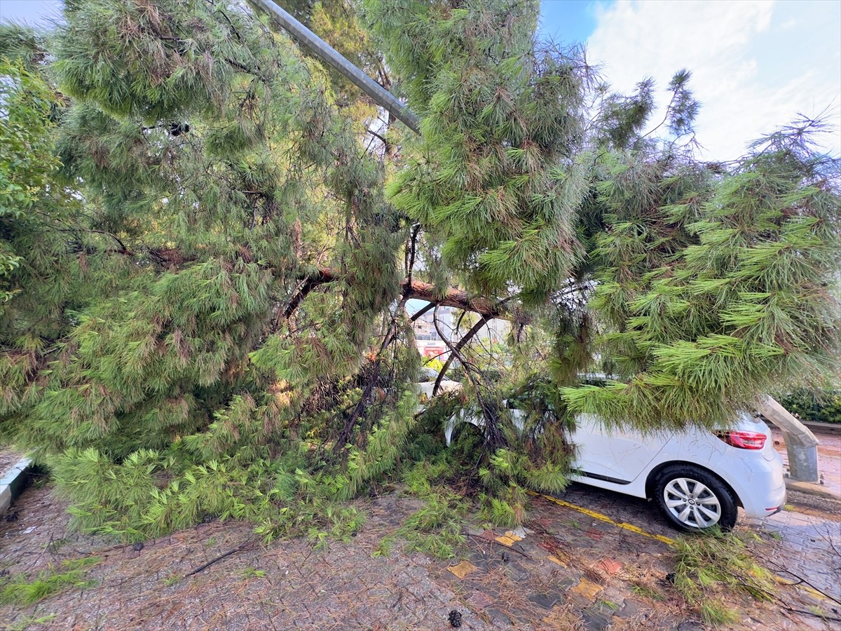 Osmaniye'de etkili olan sağanak ve şiddetli rüzgar nedeniyle yollarda su birikintileri oluştu, bir...