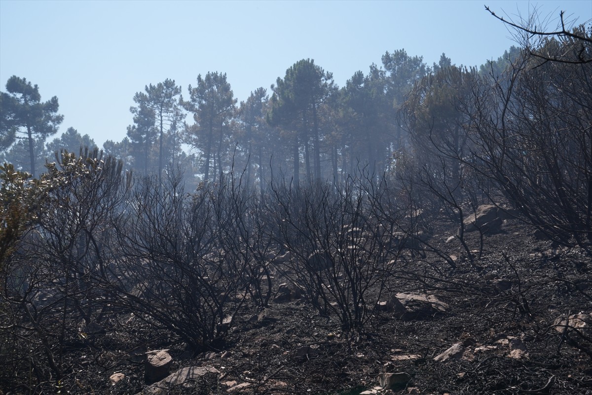  Pendik'te, Çamlık Mahallesi Aydos Ormanı'nda çıkan yangına, ekiplerin havadan ve karadan...