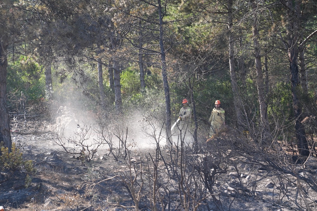  Pendik'te, Çamlık Mahallesi Aydos Ormanı'nda çıkan yangına, ekiplerin havadan ve karadan...