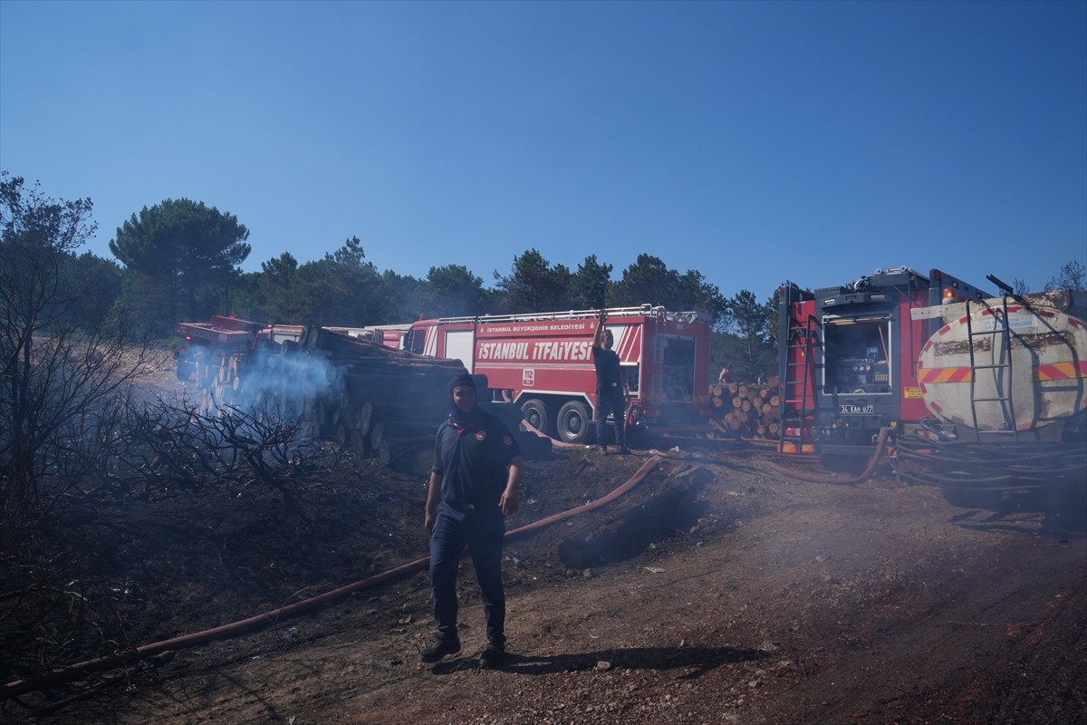  Pendik'te, Çamlık Mahallesi Aydos Ormanı'nda çıkan yangına, ekiplerin havadan ve karadan...