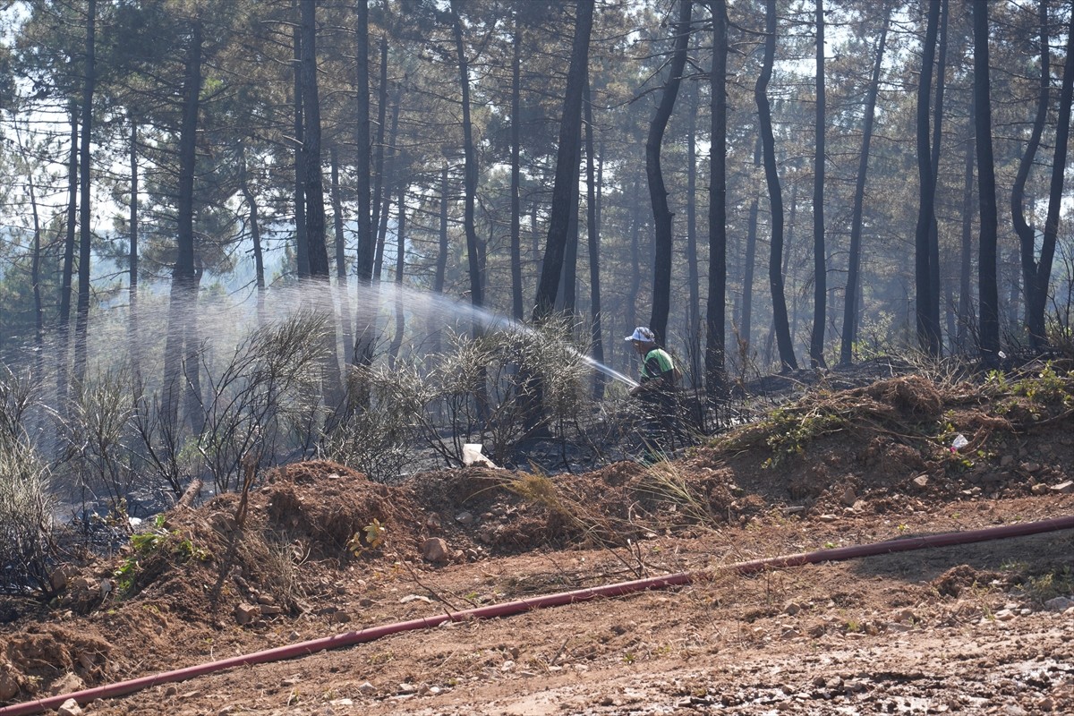  Pendik'te, Çamlık Mahallesi Aydos Ormanı'nda çıkan yangına, ekiplerin havadan ve karadan...