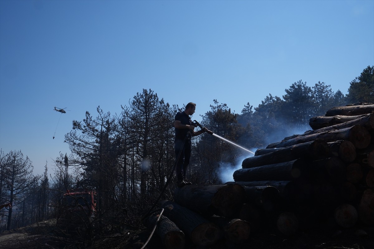  Pendik'te, Çamlık Mahallesi Aydos Ormanı'nda çıkan yangına, ekiplerin havadan ve karadan...