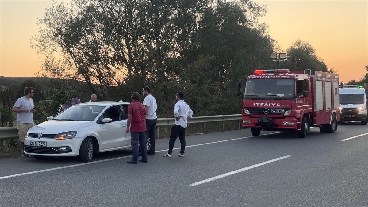Sakarya'nın Adapazarı ilçesinde yolun kenarından şarampole yuvarlanan kişi hayatını...