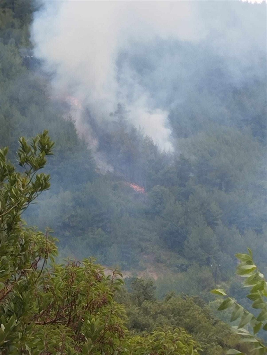 Sinop'un Dikmen ilçesinde ormanlık alanda çıkan yangın kontrol altına alındı.