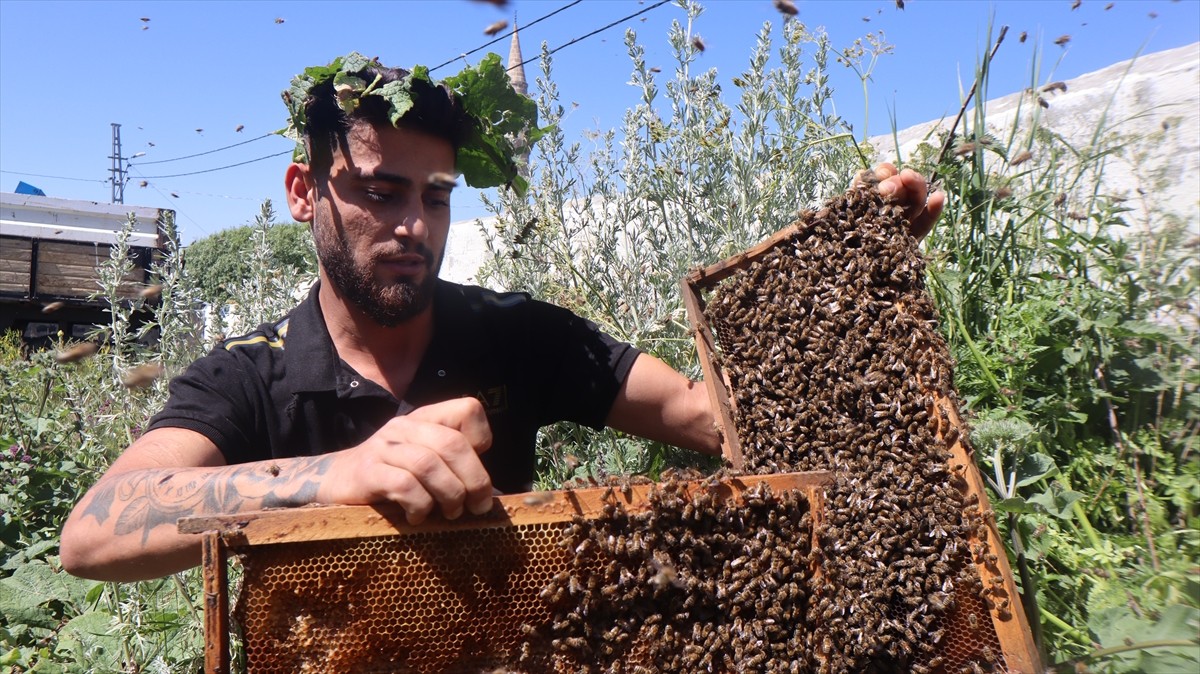 Türkiye'nin önemli bal üretim yerlerinden Kars'ta, bir süredir etkili olan sağanağın ardından...