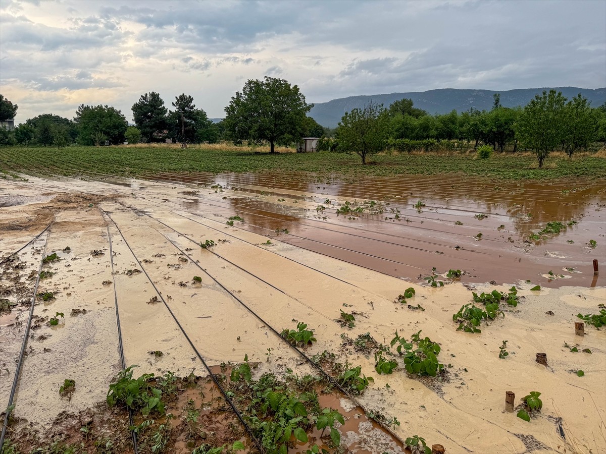 Uşak'ta akşam saatlerinden itibaren etkili olan dolu ve sağanak hayatı olumsuz etkiledi. Sivaslı...