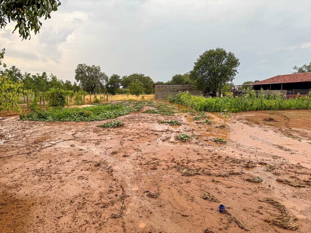 Uşak'ta akşam saatlerinden itibaren etkili olan dolu ve sağanak hayatı olumsuz etkiledi. Sivaslı...