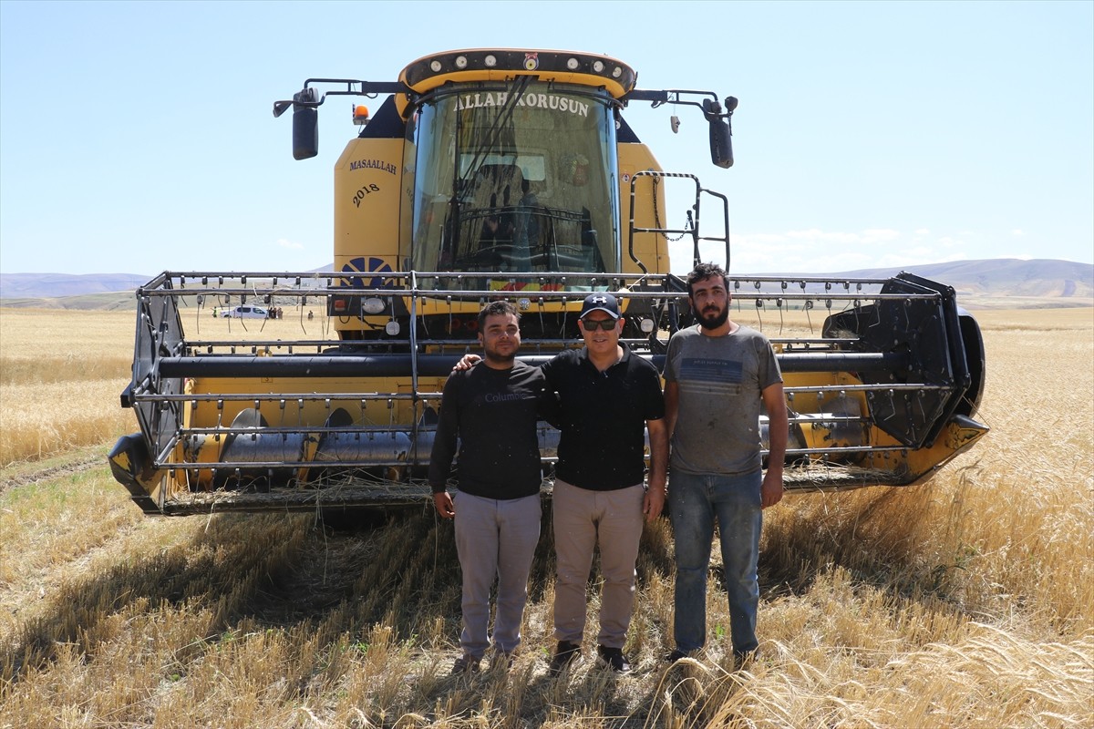 Ağrı'nın bereketli ovalarındaki buğday tarlalarında biçerdöverlerle hasat heyecanı...