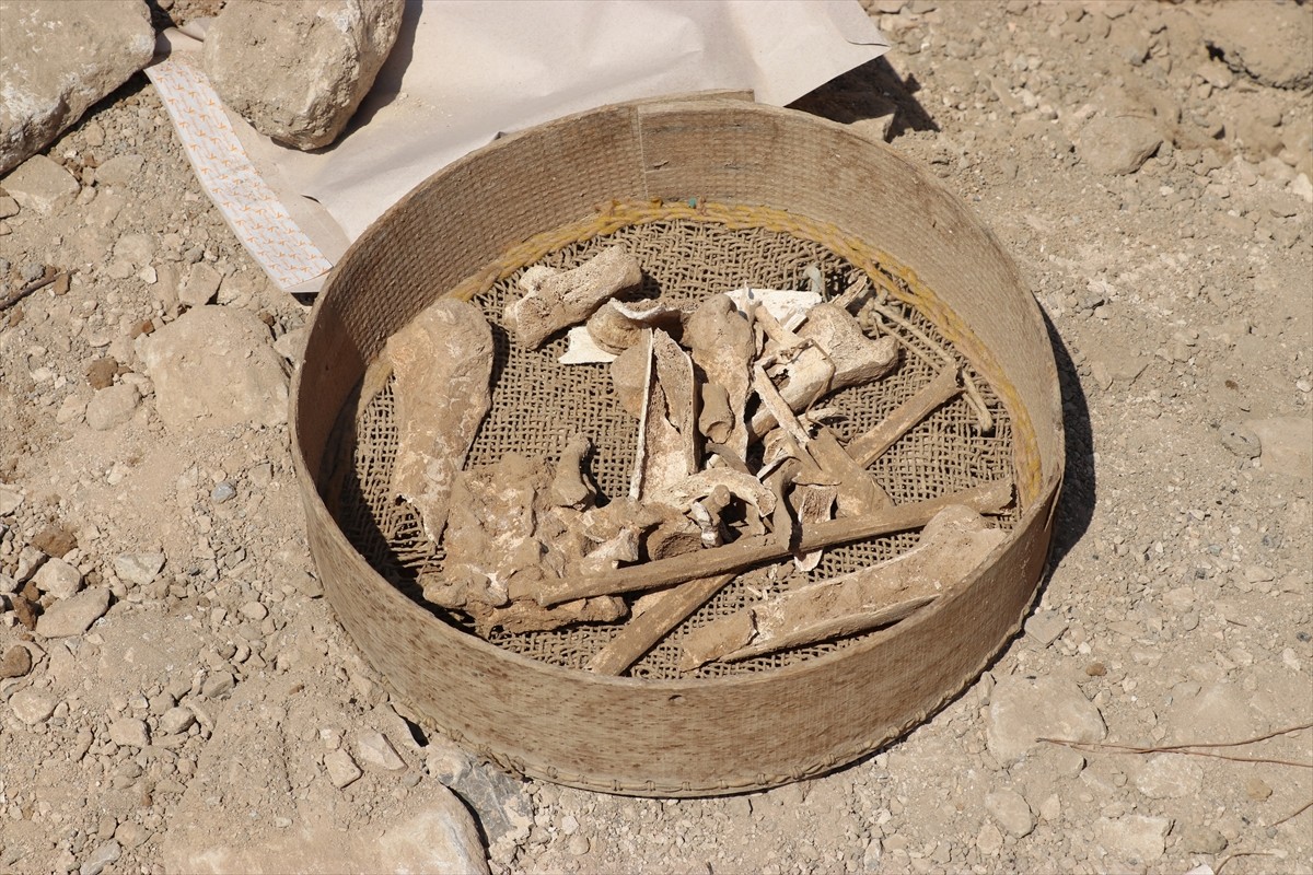 Amasya'da bir inşaatın temel kazısında bulunan Roma dönemine ait 3 mezarda insan kemikleri...