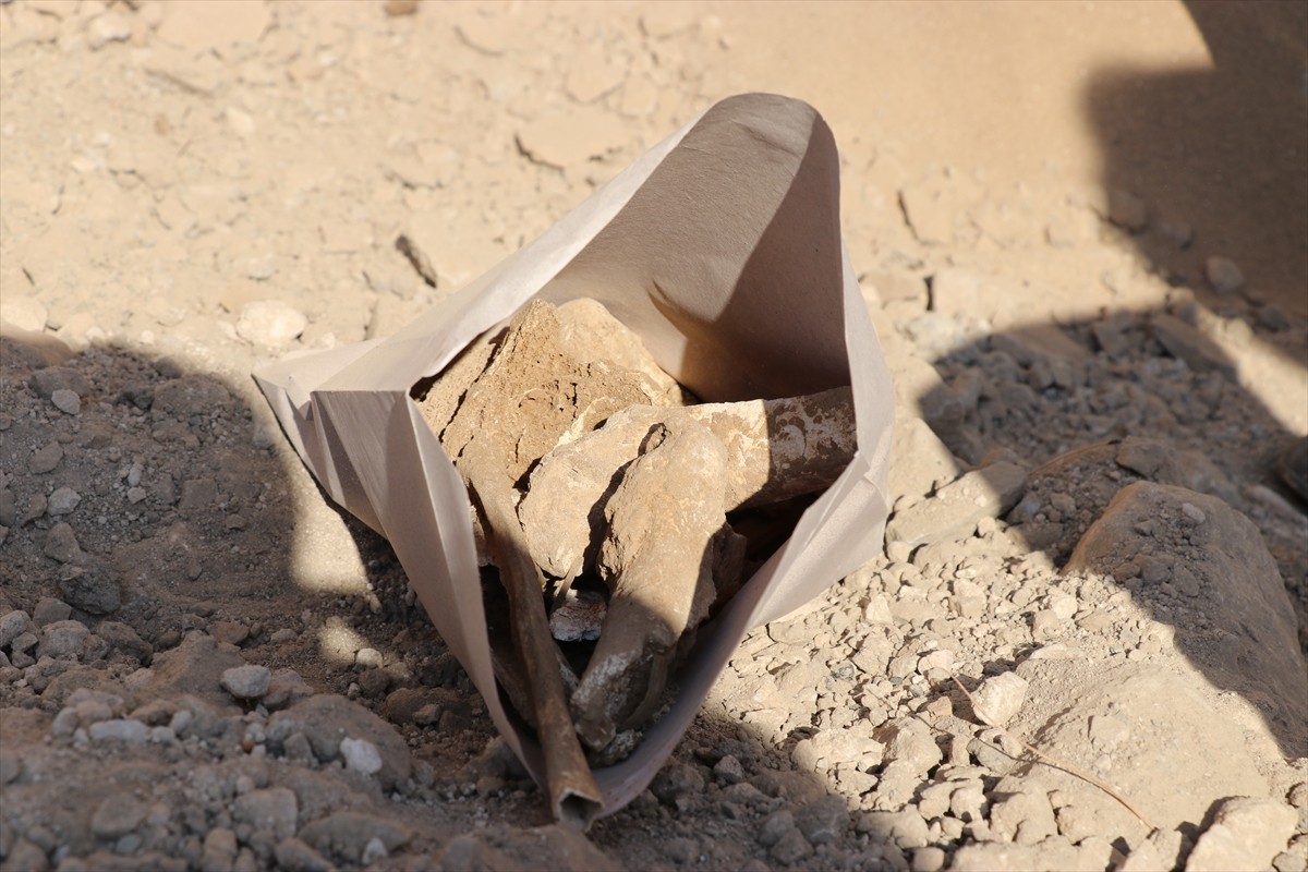 Amasya'da bir inşaatın temel kazısında bulunan Roma dönemine ait 3 mezarda insan kemikleri...
