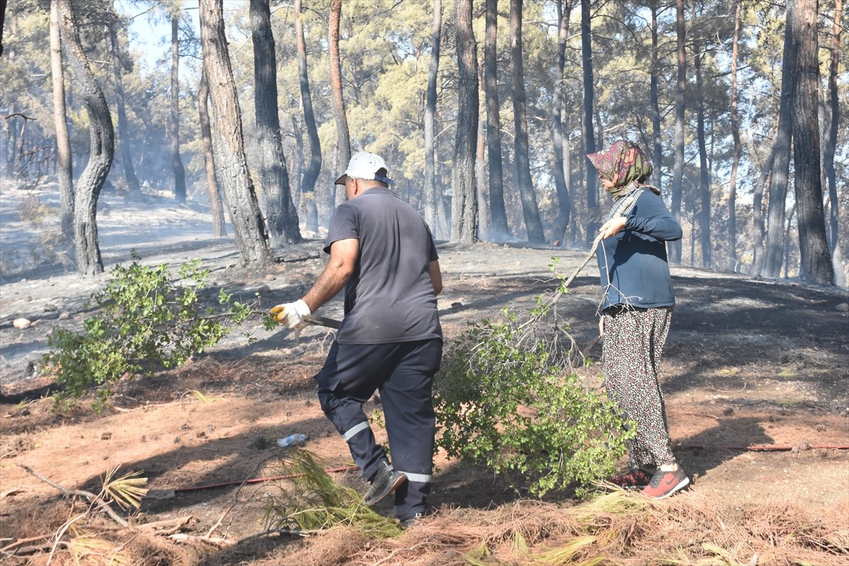 Antalya'nın Serik ilçesinde, ormanlık alanda çıkan yangın havadan ve karadan müdahaleyle kontrol...