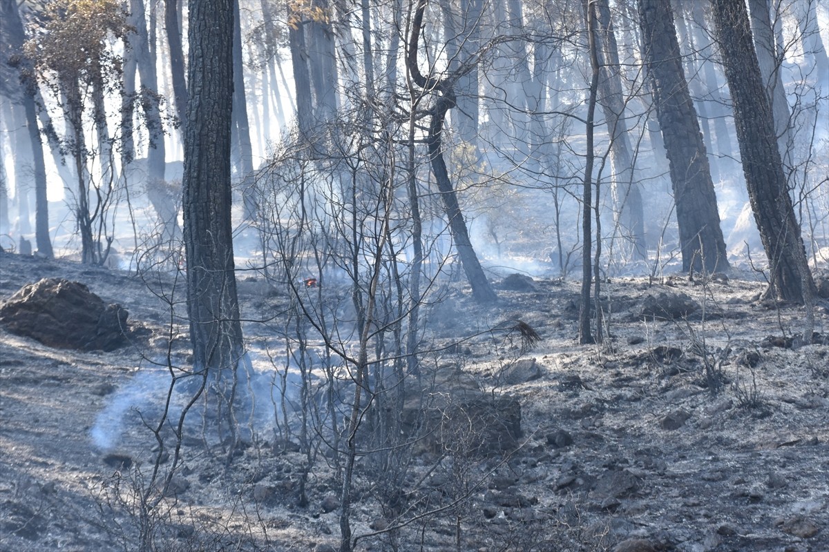 Antalya'nın Serik ilçesinde, ormanlık alanda çıkan yangın havadan ve karadan müdahaleyle kontrol...
