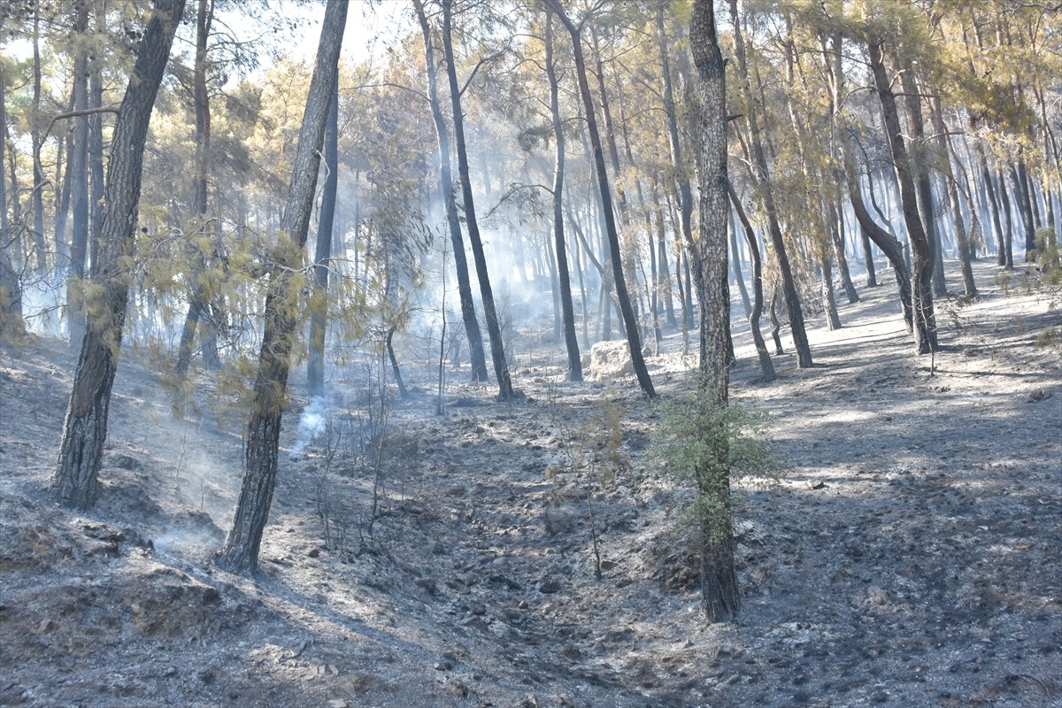 Antalya'nın Serik ilçesinde, ormanlık alanda çıkan yangına havadan ve karadan müdahale edildi....