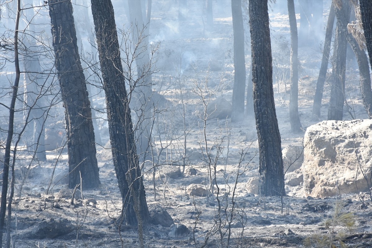 Antalya'nın Serik ilçesinde, ormanlık alanda çıkan yangına havadan ve karadan müdahale edildi....