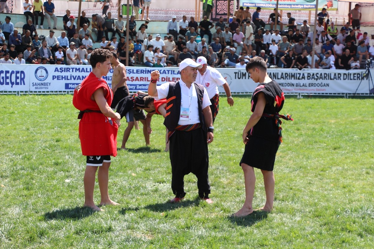 Aşırtmalı Aba Güreşi Türkiye Şampiyonası, Gaziantep'te tamamlandı. Türkiye Geleneksel Güreşler...