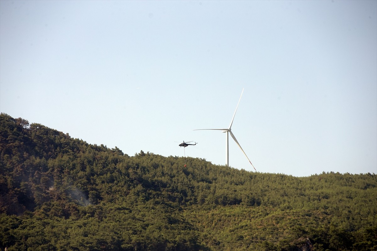 Aydın'da zeytinlik ve ormanlık alanda çıkan yangını söndürme çalışmaları devam etti.
