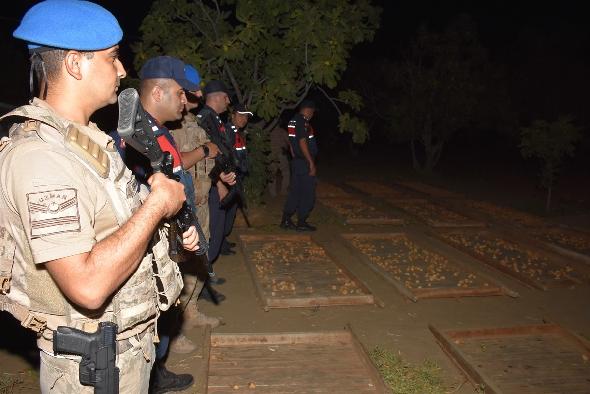 Aydın'ın Germencik ilçesinde jandarma ekiplerince incir ve zeytin bahçelerindeki hırsızlıkların...