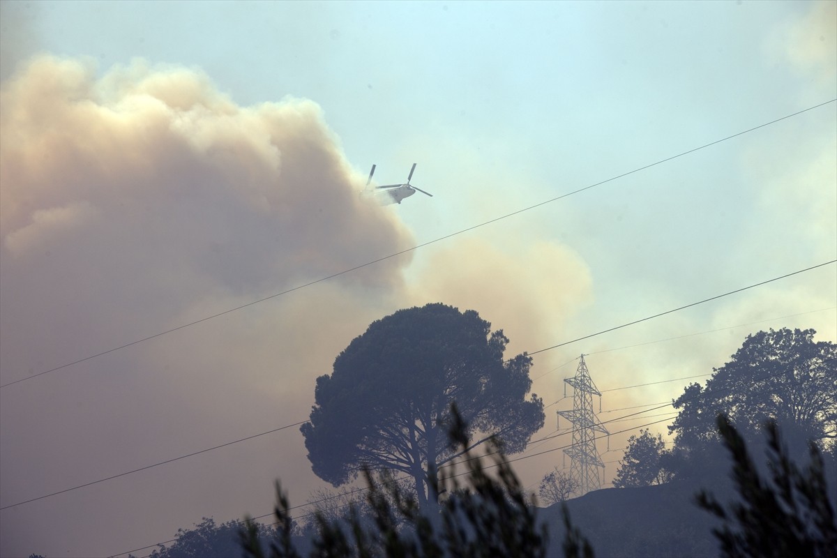 Aydın'ın Germencik ilçesinde, zeytinlik ve ormanlık alanda çıkan yangına havadan ve karadan...