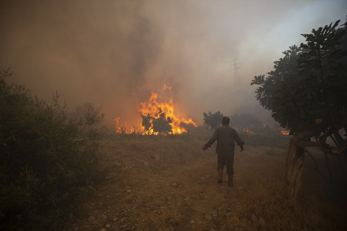 Aydın'ın Germencik ilçesinde, zeytinlik ve ormanlık alanda çıkan yangına havadan ve karadan...